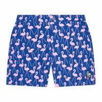 Read Tom & Teddy AUS & NZ Reviews